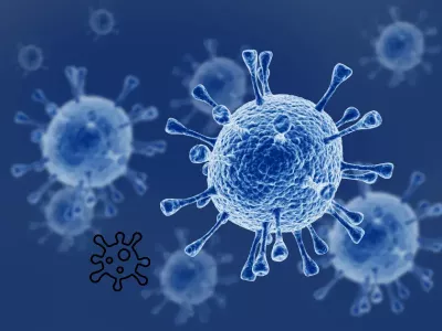 Rota virus, dr Vesna Stojanović